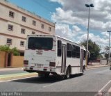 Transporte Gran Mariscal Sucre C.A. 10, por Miguel Pino