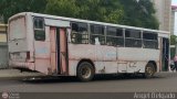 ZU - Colectivos La Limpia - La Estrella 019, por Angel Delgado
