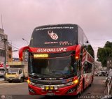 Empresa de Transporte Guadalupe Tours 954, por Leonardo Saturno
