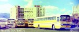 Catia La Mar Tours