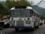 Particular 469