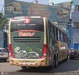 Transporte Flores Hermanos S.R.L (Per) 952