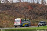 Transporte Flor de Barinas 24, por Pablo Acevedo