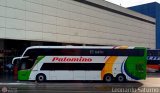 Expreso Internacional Palomino 7001, por Leonardo Saturno