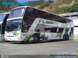Expresos Flamingo 0003