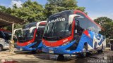 Expreso Brasilia 10031, por Joseph Puello