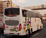 Expreso Internacional Palomino 7021, por Leonardo Saturno