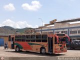 Transporte Guacara 0003, por Aly Baranauskas