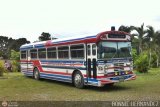 Expresos Nirgua 0012
