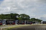 Expresos Occidente Gua 2019 43 por Pablo Acevedo
