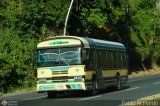 Transporte Unido (VAL - MCY - CCS - SFP) 017, por Pablo Acevedo