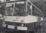 Instituto Municipal de Transporte Colectivo 082, por Arturo Fajardo