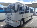 A.C. Lnea Autobuses Por Puesto Unin La Fra