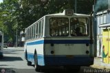 DC - A.C. Conductores Magallanes Chacato 36, por Pablo Acevedo