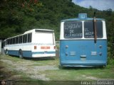 Particular 035036, por Edgardo Gonzlez