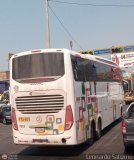 Expreso Internacional Palomino 7015, por Leonardo Saturno