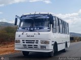 Transporte Panamericano 40 por Aaron Rodr�guez