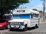 ZU - Colectivo Pomona 24, por Sebastin Mercado
