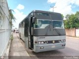 Santa Elena Express 120
