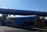 Transporte Colectivo Palo Negro 050, por Andrs Ascanio