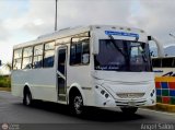 S.C. L�nea Transporte Expresos Del Chama 033