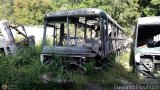 En Chiveras Abandonados Recuperacin 2021
