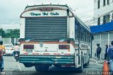 L�nea El Rosario 03