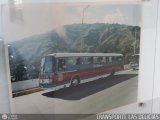 Transporte Las Delicias C.A. F-7, por TRANSPORTE LAS DELICIAS