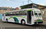 Expresos Pegamar 0027, por Alvin Rondn