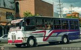 Coop. Transporte Menca de Leoni 222
