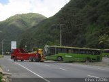 En Chiveras Abandonados Recuperacin oc067, por Oliver Castillo