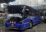 A.C. de Transporte Encarnacin 311