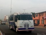 AN - Cooperativa de Transporte Sol de Guanipa 018
