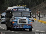 Transporte Colectivo Palo Negro 036, por Pablo Acevedo