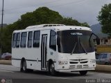 Transporte Virgen del Carmen 41