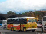 A.C. Lnea Autobuses Por Puesto Unin La Fra 13, por Freddy Salas