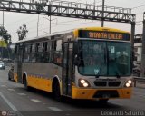Per Bus Internacional - Corredor Amarillo 775, por Leonardo Saturno