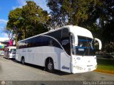 A.C. Mixta de Transporte Tchira Mrida R.L. 0818