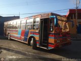 Expresos Pegamar 0019