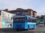 Universidad de Los Andes