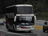 Expresos Occidente 318