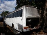 En Chiveras Abandonados Recuperacin 371, por Aly Baranauskas