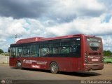 Bus Anzotegui