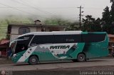 Patria