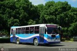 Transporte Frontera 41, por Pablo Acevedo