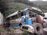 En Chiveras Abandonados Recuperacin 10, por Luis Caracas