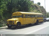 Universitarios y Escolares 8