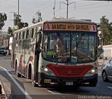 E.T. y Servicios Guadulfo Silva Carbajal (Per) 005, por Leonardo Saturno