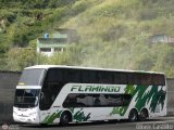 Expresos Flamingo 0171, por Oliver Castillo