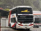Aerorutas de Venezuela 0510